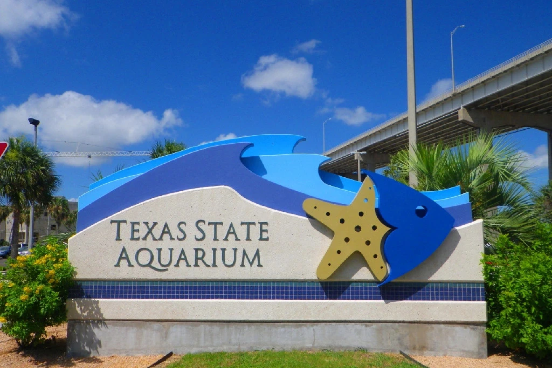 Texas State Aquarium Corpus Christi