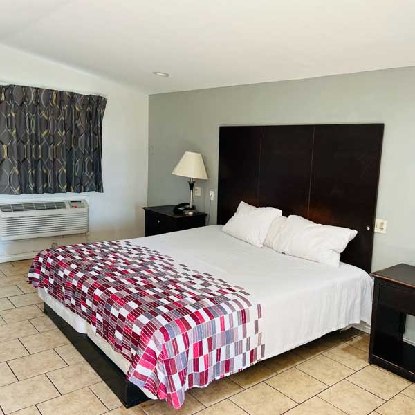 Safari Inn Motel 1 Bed Room